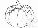 Pumpkin Coloring Pages Printable Leaves Squash Print Drawing Color Outline Line Vine Pumpkins Fall Patch Leaf Blank Coloringpage Drawings Halloween sketch template