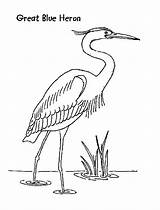 Heron Designlooter sketch template