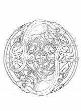 Gecko Crested Celtic sketch template