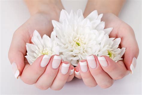 service posh nails  spa