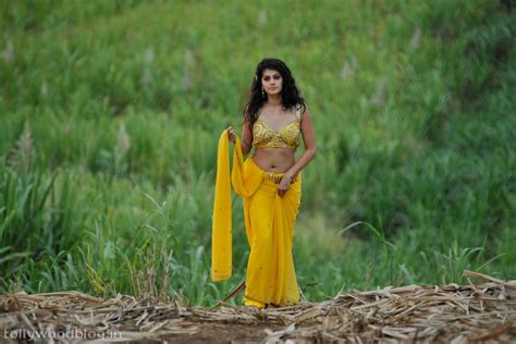 taapsee pannu latest spicy hot photos from mogudu movie