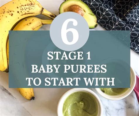 stage  baby puree recipes  start  creative nourish