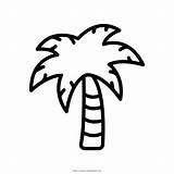 Palma Palmera Mewarnai Drawing Palmen Palm Ultracoloringpages sketch template