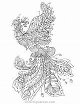 Coloring Phoenix Pages Adult Alex Adults Printable Coloringgarden Peacock Color Colouring Books Grey Visit Getdrawings Description Choose Board sketch template