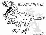 Jurassic Indominus Coloring Dinosaur Gratuit Jecolorie Trex Dessins Jurrasic sketch template