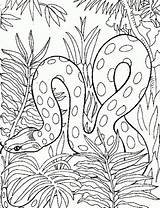 Snakes Slang Colouring Serpent Letscolorit Zoo Australian Från Sparad sketch template