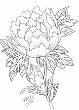 Peony Drawing Outline Tattoo Line Japanese Drawings Flower Peonies Rose Shannan Getdrawings Simple Paintingvalley sketch template
