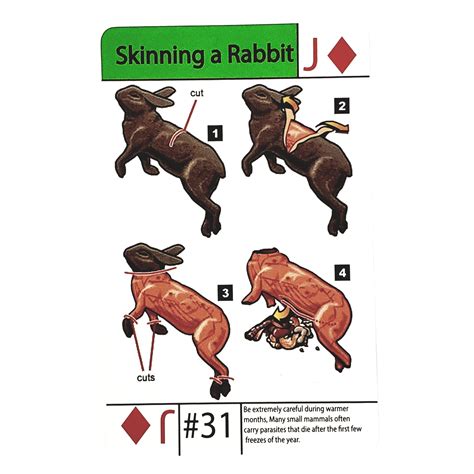 skin  rabbit edc tip card  wilderness survival grimworkshop