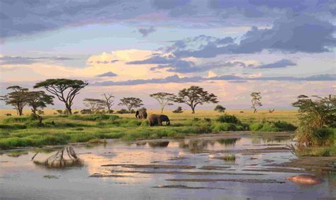 serengeti climate  climate  serengeti national park  time