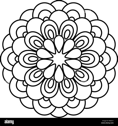 flower mandala vector illustration adult coloring page circular