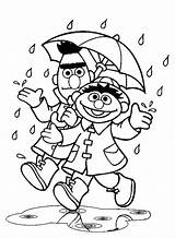 Coloring Rain Pages Ernie Bert Weather Sesame Rainy Umbrella Street Away Go Under Windy Printable Color Kids Getcolorings Falling Sheet sketch template