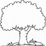 Tree Coloring Pages Adults Kids Getdrawings sketch template