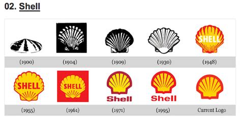 digital design   evolution  logos