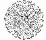 Coloring Mandala Pages Printable Advanced Flower Print Level Calm Adults Designs Kids Getcolorings Library Color Popular Clipart Rocks Getdrawings Sheet sketch template