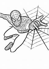 Spiderman Coloring Pages Printable Kids Print sketch template