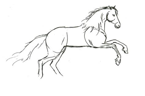 draw horses