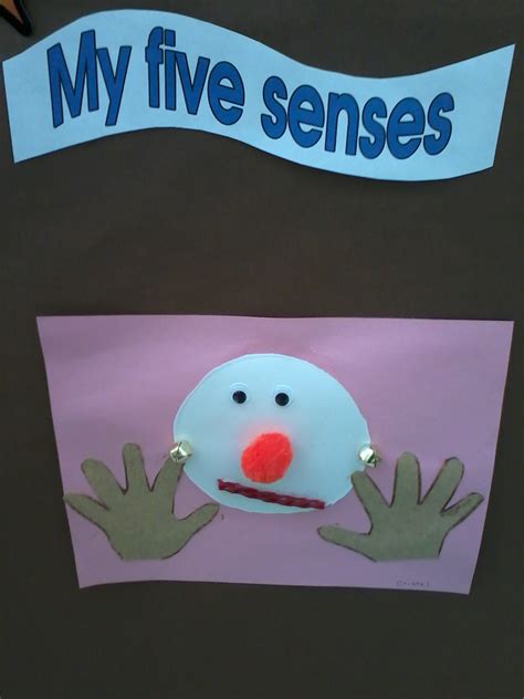 prek preschool ideas  noey   senses