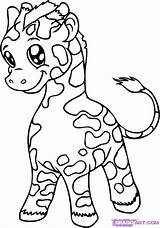 Coloring Pages Giraffe Baby Cute Animals Animal Safari Big Draw Cartoon Tattoopins Kids sketch template