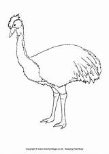 Colouring Emu Australian Pages Animals Coloring Drawing Animal Printable Designlooter Drawings Print Color 650px 39kb Getcolorings Getdrawings Word sketch template