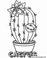 Cactus Coloring Pages Flower Printable Pot Flowers Print Sheet Easy Sheets Topcoloringpages Choose Board sketch template
