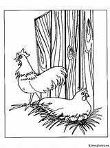 Kippen Kleurplaten Kip Huhn Pollo Malvorlagen Mewarnai Animasi Ayam Poulets Pollos Coloriages Bergerak Animaatjes Polli Animal Malvorlagen1001 Gratis Colorir Picgifs sketch template