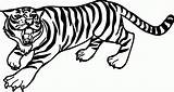 Tiere Malvorlagen Boyama Kaplan Malvorlage Clipartmag Kinderbilder Zeichnung Angry Siberian Zeichnungen Tigres Sayfalari Besuchen Outlines sketch template
