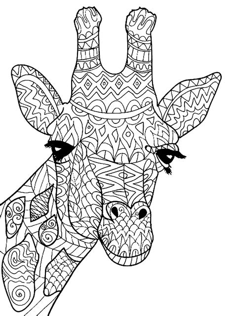 giraffe head giraffes kids coloring pages