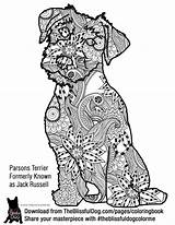Russel Puppy sketch template
