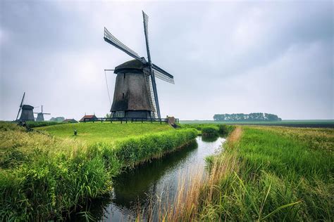 Old Dutch Windmills In Cold Morning Scenery Near Amsterdam