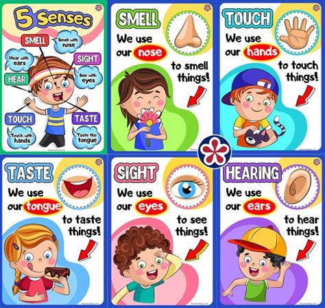 downloadable senses poster set teachersmagcom preschool