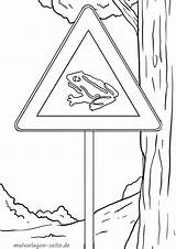 Verkehrszeichen Malvorlage Amphibienwanderung مهاجرت Malvorlagen sketch template