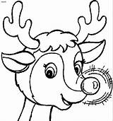 Reindeer Rudolph Nosed Ausmalen Deer Rentier Malvorlage sketch template