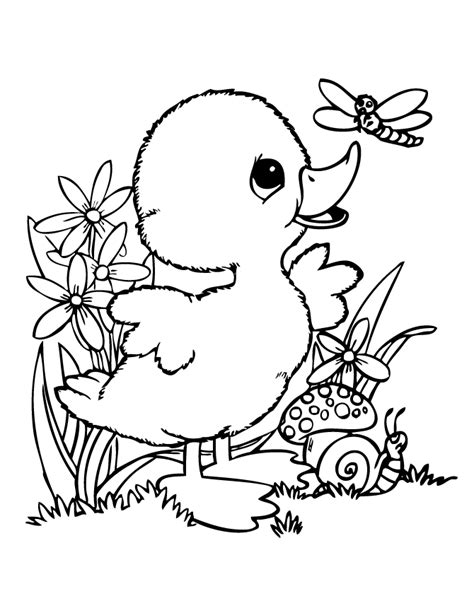 baby duck  friends coloring page cute coloring pages animal
