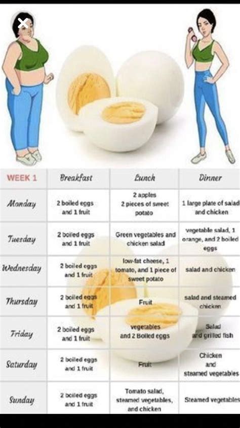 honest  goodness truth  egg diet egg diet egg