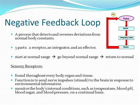 video feedback loop tutorial