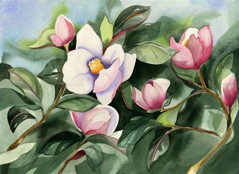 magnolia louisiana state flower