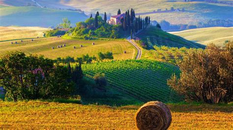 sfondi paesaggio italia collina erba azienda agricola toscana cottage altopiano mucchi