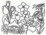 Wildflower Wildflowers sketch template