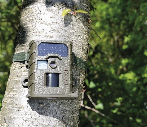 Achetez en Gros 12 v, détecteur de mouvement en Ligne à