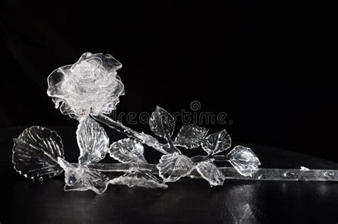 crystal rose royalty  stock photo image