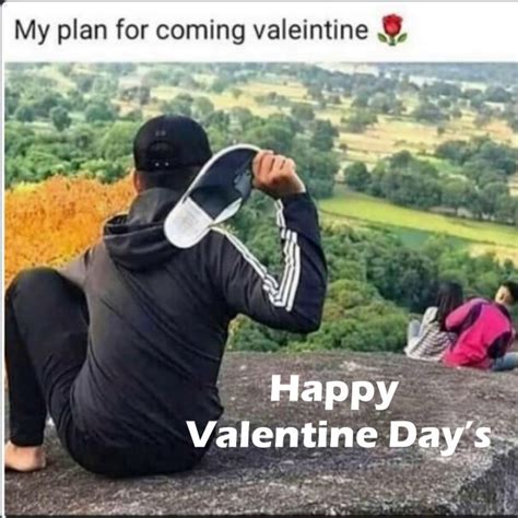 50 Funny Valentine Memes Sarcastic Valentines Images – Tiny Inspire