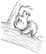 Squirrel Coloring Pages Coloring2print sketch template
