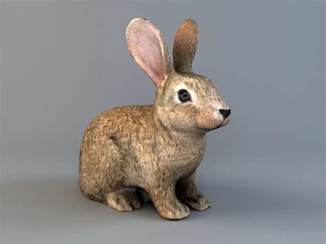 brown rabbit  model ds maxautodesk fbx files   modeling   cadnav