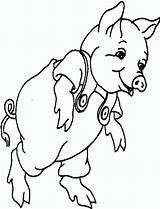 Varken Pigs Kleurplaten Schwein Coloriages Porc Mewarnai Babi Cerdo Maiali Animasi Schweine Bergerak Animierte Animaatjes Peppa Ausmalbild Maiale Triazs 1912 sketch template