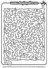 Labirintos Labyrinthe Mazes Colorir Imprimir sketch template