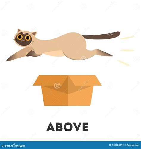 cat  box learning preposition concept stock vector illustration