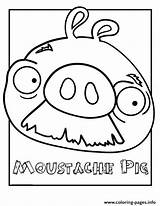 Coloring Birds Angry Pages Moustache Pig Printable Index sketch template