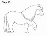 Shetland Paarden Kleurplaten sketch template
