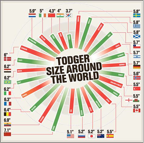 Infographic A Guide To Penis Sizes Around The World