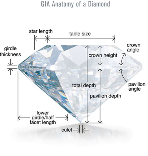 diamond anatomy explained
